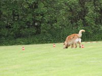 Bendix und das Boxband (55)